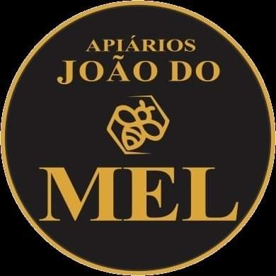 Destaques Terceira idade na Internet