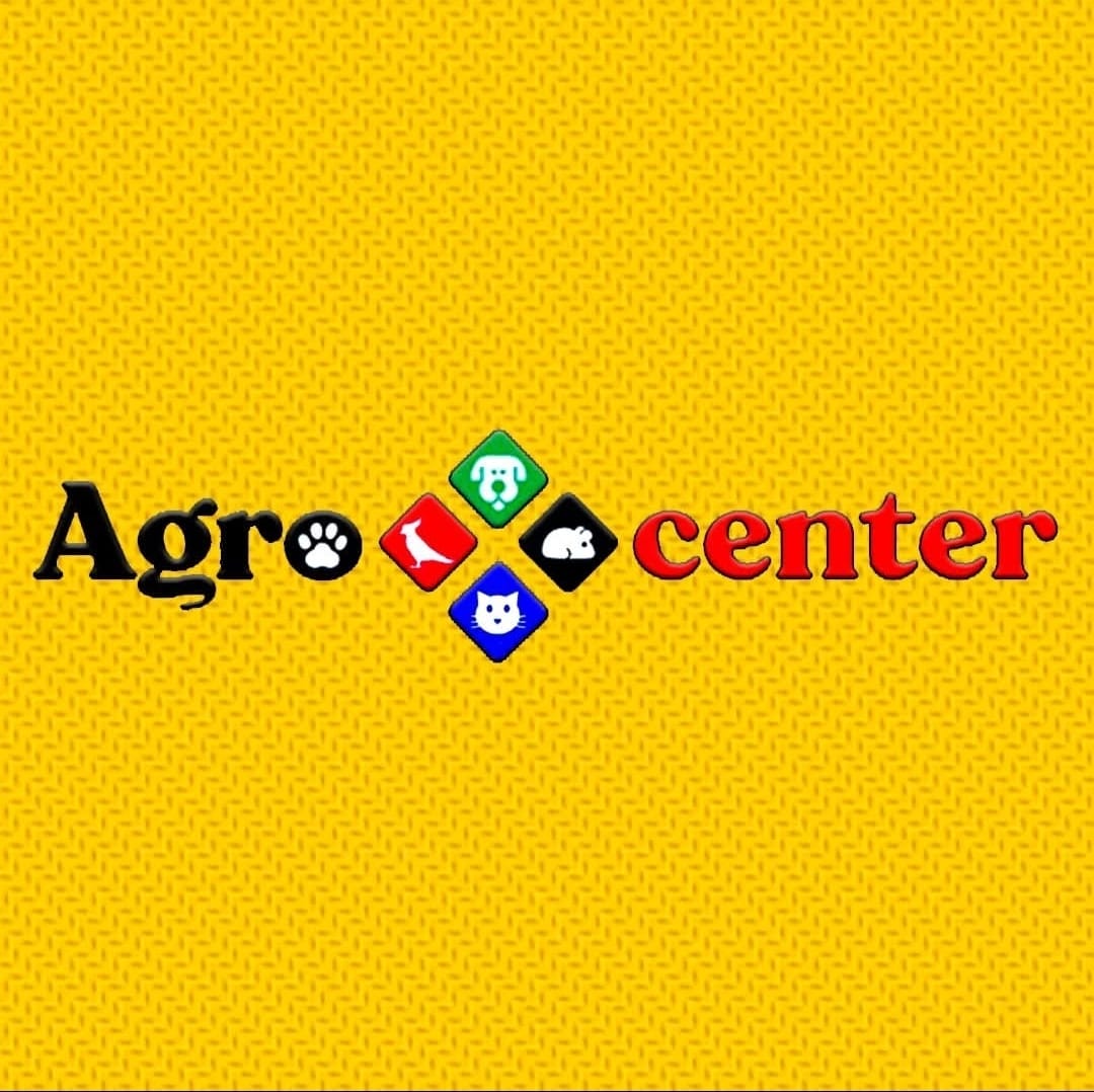 Destaques Terceira idade na Internet