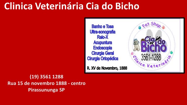 Destaques Terceira idade na Internet