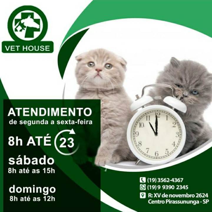 Destaques Terceira idade na Internet