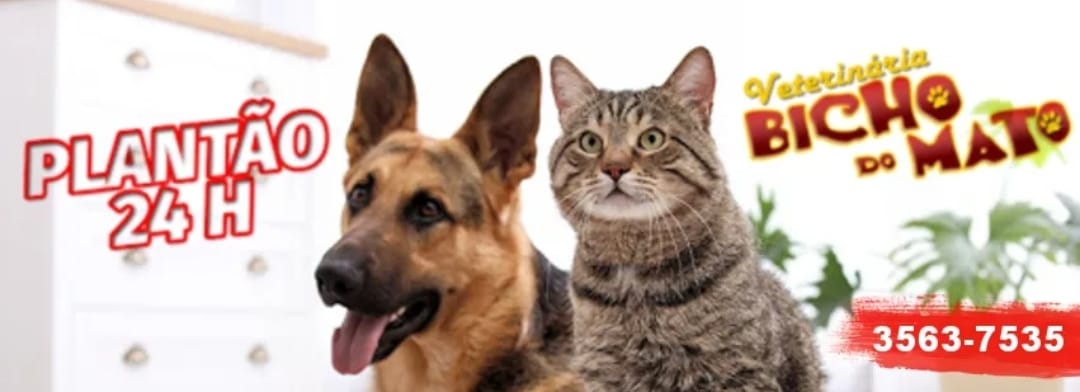 Destaques Terceira idade na Internet