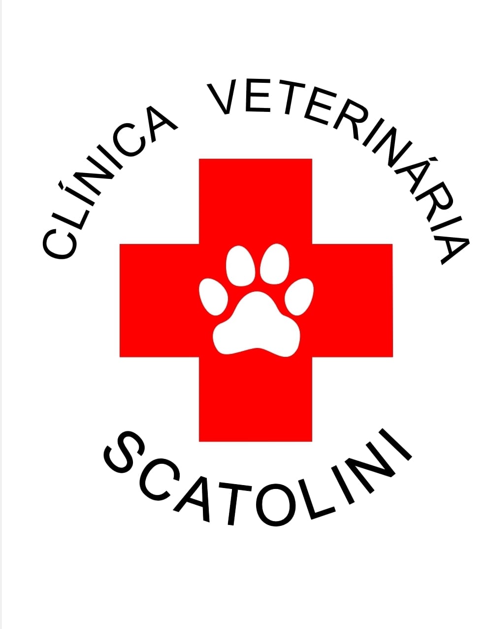 Destaques Terceira idade na Internet