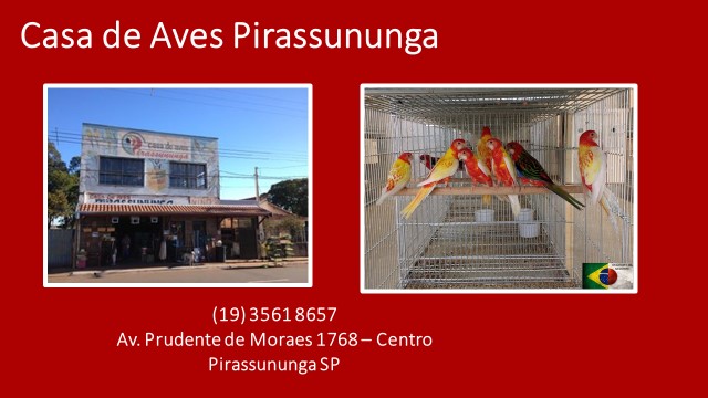 Destaques Terceira idade na Internet