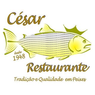 Destaques Terceira idade na Internet