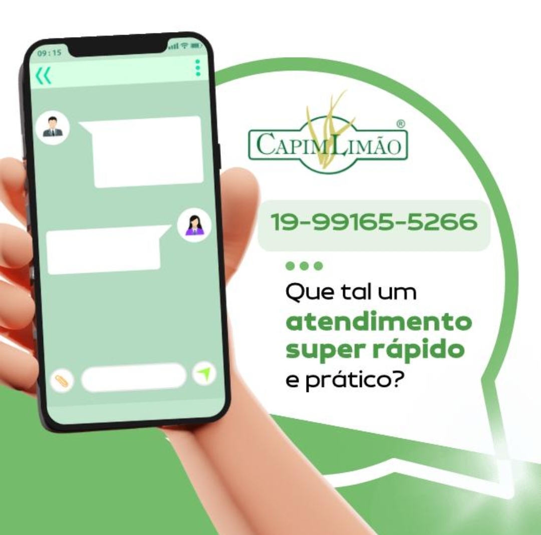 Destaques Terceira idade na Internet