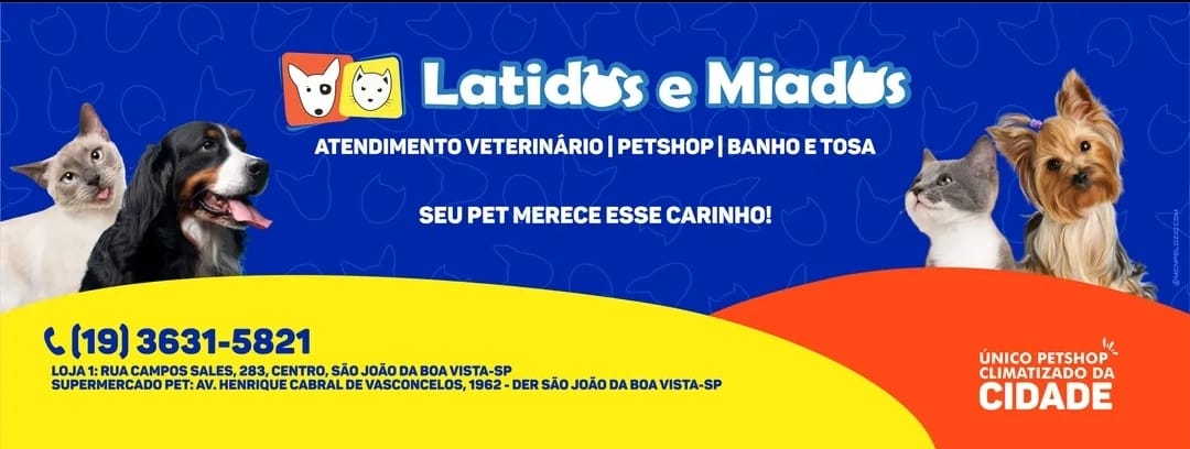 Destaques Terceira idade na Internet