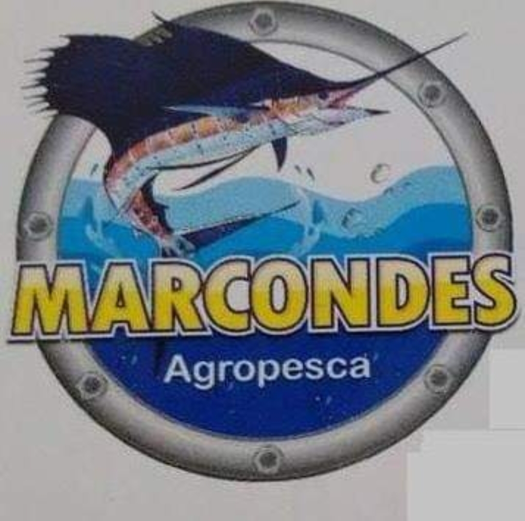 Destaques Terceira idade na Internet